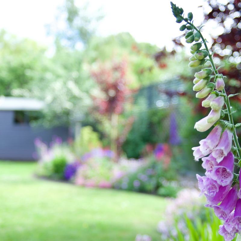 Simple Ideas That Will Help To Transform Your Garden